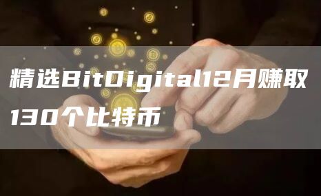 精选BitDigital12月赚取130个比特币-第1张图片-交易所